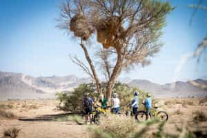 Ride across the Sossusvlei landscape on a fat bike