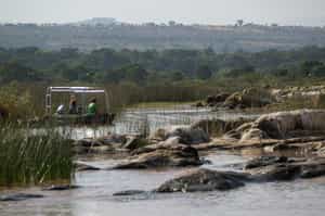 Boat past crocodiles on scenic Lake Chamo
