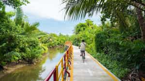 Explore the semi-jungle of Bang Krachao by bike