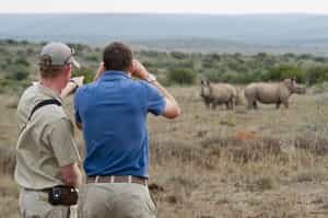 Go on a guided walking safari in the Eastern Cape