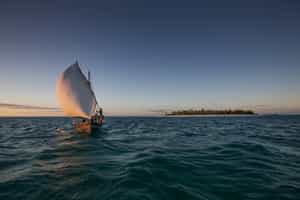 Take a traditional dhow sunset cruise in Mafia