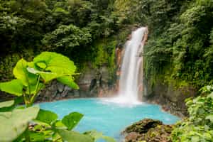 Hike to Rio Celeste in Tenorio Volcano Park