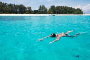 Snorkel the tropical coral reefs around Stone Town