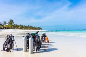 Go on a scuba diving adventure from Stone Town