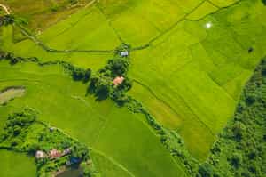 Cycle through the countryside of Vang Vieng