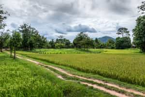 Explore the countryside of Siem Reap