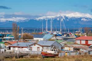 Visit the city of Puerto Natales