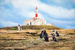 Take a boat trip to Magdalena & Marta Island
