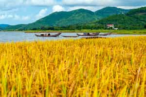 Explore the rural countryside of Hue