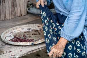Learn the craft of indigo dyeing in Chiang Mai