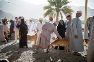 Explore the bustling souq of Nizwa near Muscat