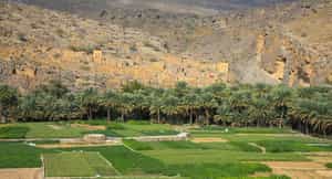 Visit the abandoned Persian ruins in Ghul, Muscat