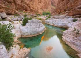 Swim in the turquoise waters of Wadi Bani Khalid