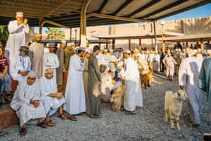 Visit a livestock market and take a tour in Nizwa