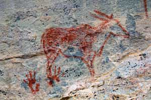 Explore the ancient rock art at Tsodilo Hills