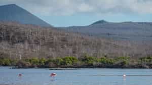 Visit Champion Islets & Cormorant Point