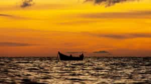 Take a sunset cruise on Lake Victoria from Entebbe