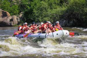 Class III whitewater rafting on the Rio Sarapiquí