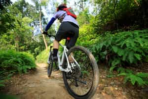 Mountain bike on forested roads below Arenal