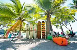 Take on the waves of the Manuel Antonio beach