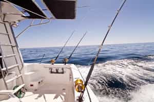 Cast a line out sportfishing on the Pacific