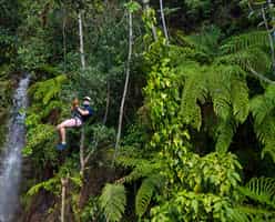 Zipline above the forest of Rincón de la Vieja
