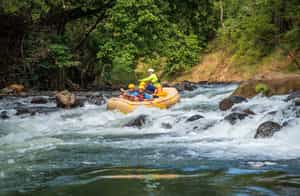 Go whitewater rafting on the Tenorio River 