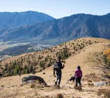 Embark on the picturesque Longteng hike in Gangtey
