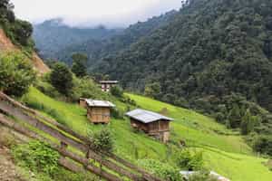 Take a hike up the Bushman Trail in Bumthang