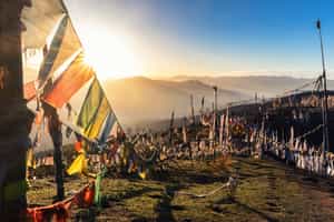 Stand at the highest pass of Bhutan, Chele La