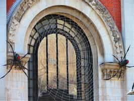 Bernardino Rivadavia Museum of Natural Science