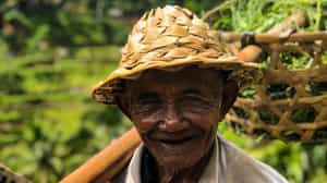 Get insight into daily balinese life in Sidemen