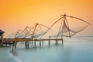 See the iconic Chinese fishing nets in Cochin