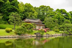 Wander in Hamarikyu's Tranquil Gardens