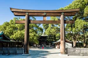 Unveil Serenity at Tokyo's Meiji Shrine