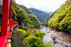 Take a trip on the Sagano Scenic Railway in Kyoto
