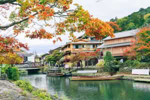 Explore Kyoto's Northern neighbourhoods