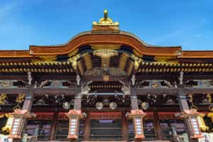 Explore the Kitano Tenmangu Shrine, Kyoto