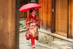Visit the Kamishichiken district in Kyoto