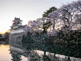 Explore Japan's feudal history at Kanazawa Castle
