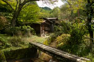 Walk the ancient highways on the Nakasendo Trail