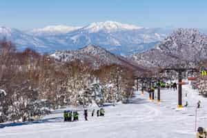 Enjoy snow activities at Shiga Kogen near Yudanaka