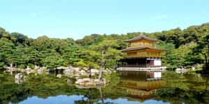 Visit Kyoto's gold leaf covered Kinkakuji Temple