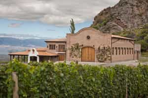 Go wine tasting at San Pedro de Yacochuya