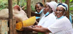 Learn from entrepreneurial grandmothers in Nairobi