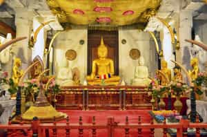 Visit the Temple of the Sacred Tooth Relic, Kandy