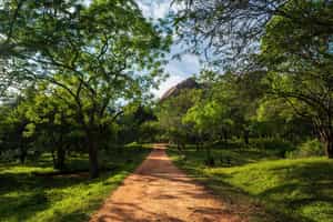 Explore the walking trails in Mihintale