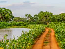 Cycle through the rural villages around Galle