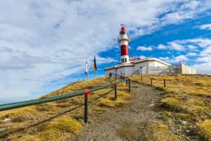 Take in views from Magdalena Island's lighthouse