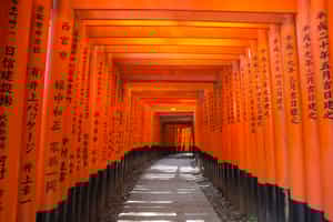 Take a walking tour of Fushimi Inari Shrine, Kyoto
